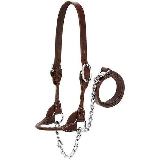 Weaver Leather Dairy/Beef Rounded Show Halter XS - Brown