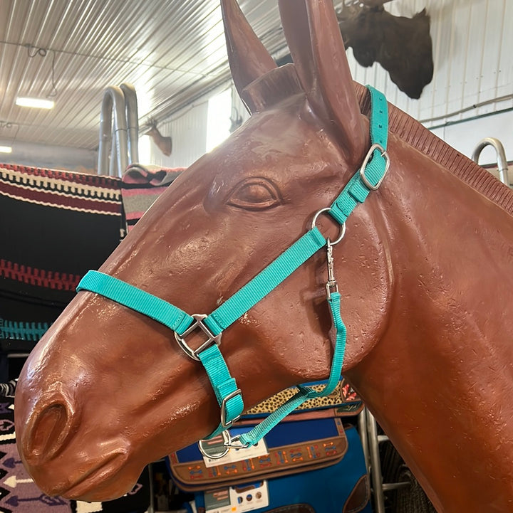 Irvine Nylon Adjustable Halter w/Snap - Irvine Tack &amp; Western Wear