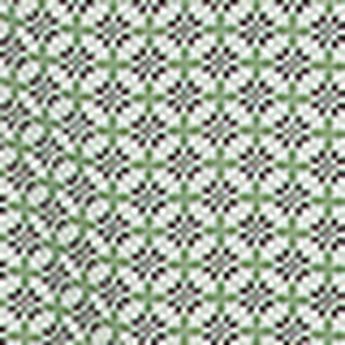 Wrangler Boy's Classic  Long Sleeve Shirt- Green