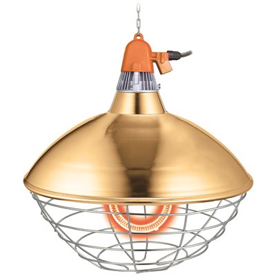 Interheat Poultry Brooder CPBT300