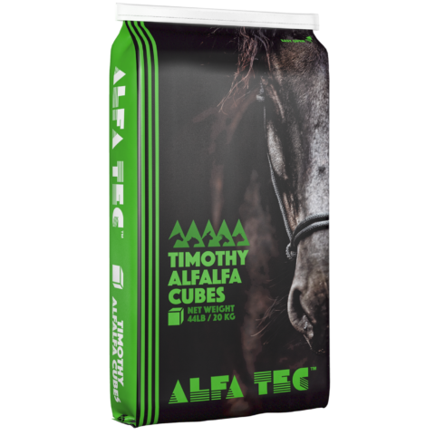 Alfa Tec Timothy Alfalfa Cubes - 20KG - Irvine Tack &amp; Western Wear
