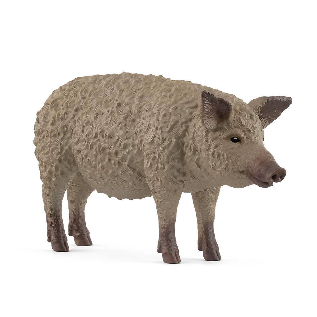 Schleich Mangalica Pig - Irvine Tack & Western Wear