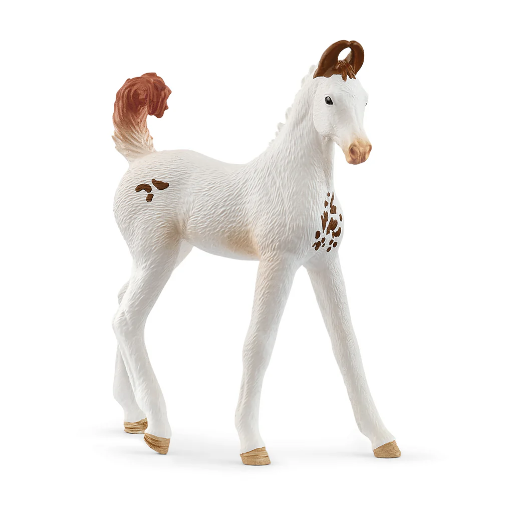 Schleich Marwari Foal - Irvine Tack & Western Wear