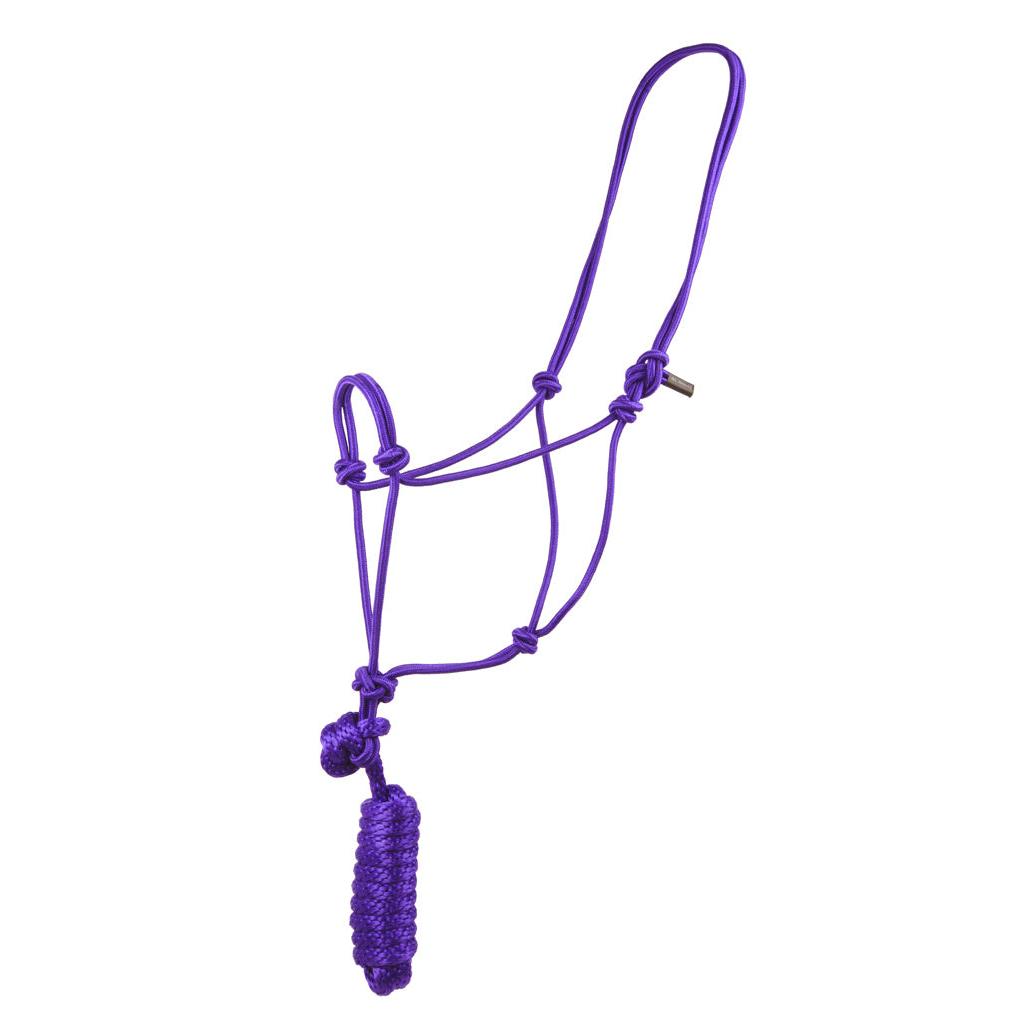 Aime Imports Knotted Rope Halter with 8' Lead-Multiple Colours