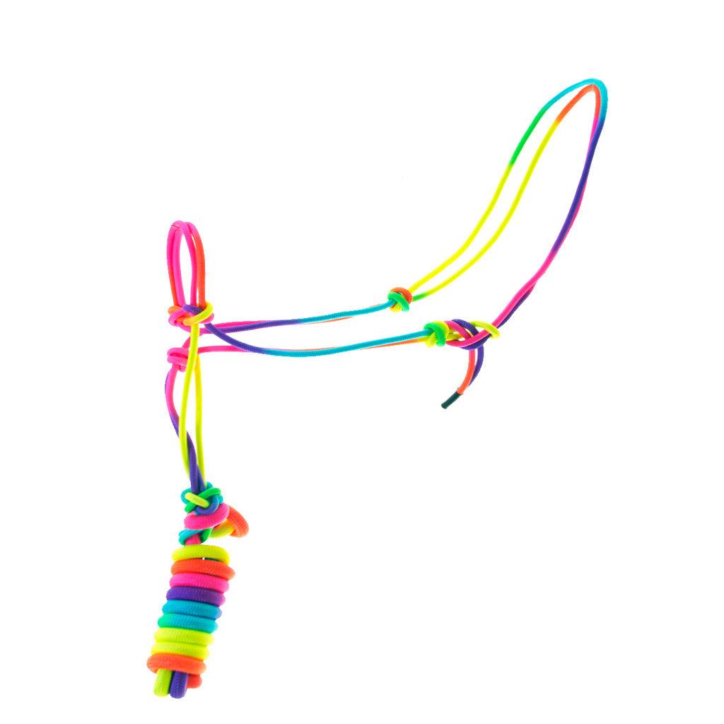 Aime Imports Knotted Rope Halter with 8' Lead-Multiple Colours