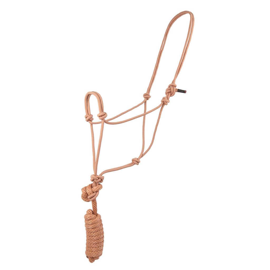 Aime Imports Knotted Rope Halter with 8' Lead-Multiple Colours