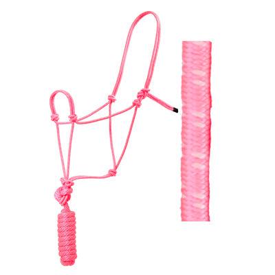 Aime Imports Knotted Rope Halter with 8' Lead-Multiple Colours