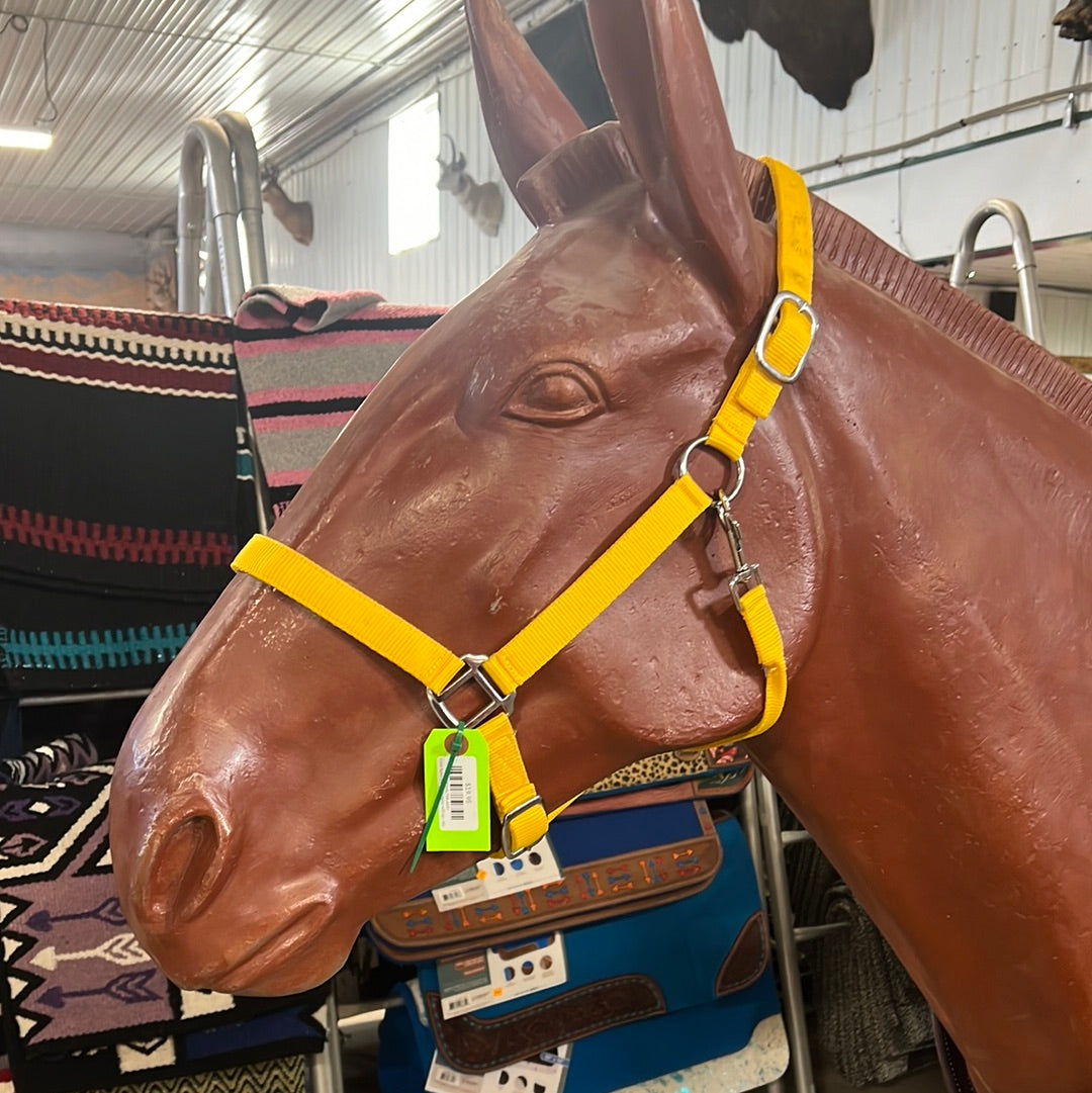 Irvine Nylon Adjustable Halter w/Snap - Irvine Tack &amp; Western Wear