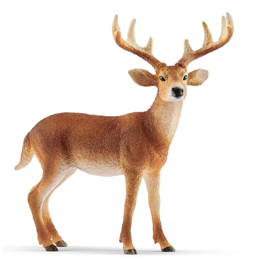 Schleich White Tailed Buck