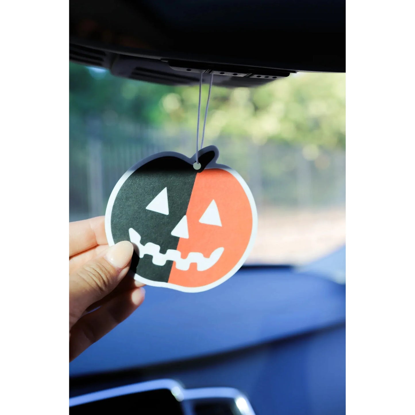 Front Porch Western Air Fresheners - Assorted Styles