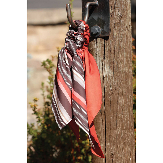 Cinch Women's Wildrag - Multi