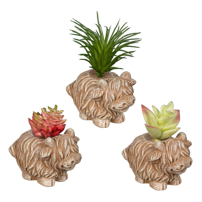 Evergreen Petal & Plow Faux Floral Table Decor - Irvine Tack & Western Wear