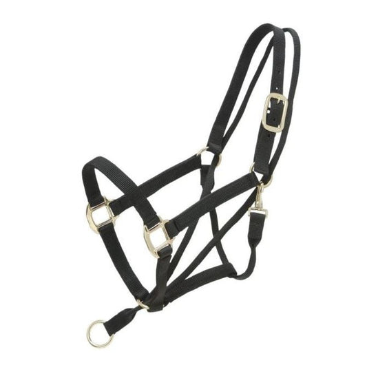 Tough 1 Pull Back Halter- Black
