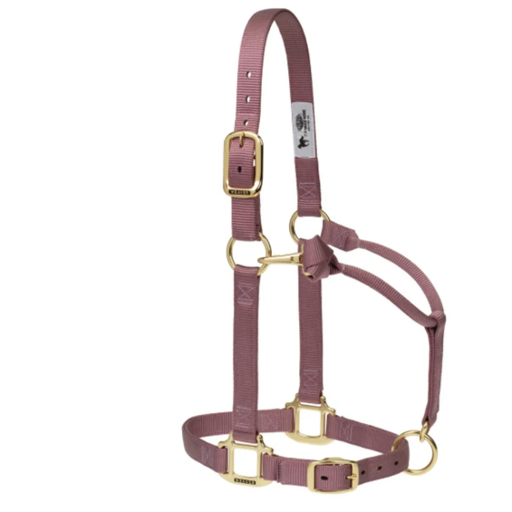 Weaver Leather  Original Adjustable Nylon Horse Halter, 1" Large - Multiple Colours - Irvine Tack & Western Wear