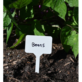 50 Pack of Plant Labels