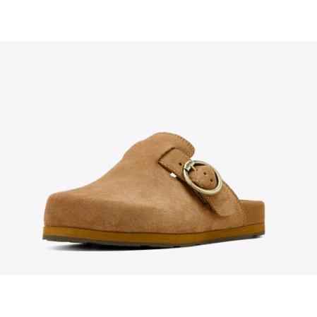 Ariat Women's Country Mule - Caramel Suede