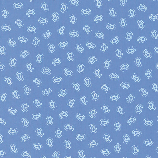 Wrangler Men's Cody Johnson Classic Fit Long Sleeve Shirt- Blue/White