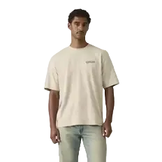 Levi's Men's Short Sleeve Loose Fit Graphic Tee Shirt - Moonstruck