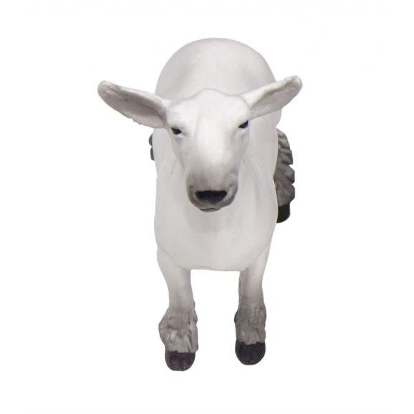 Little Buster Champion Dorset Market Lamb - White