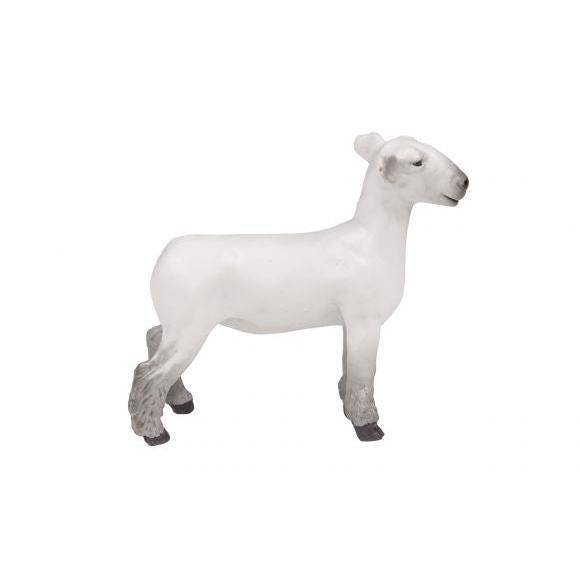 Little Buster Champion Dorset Market Lamb - White