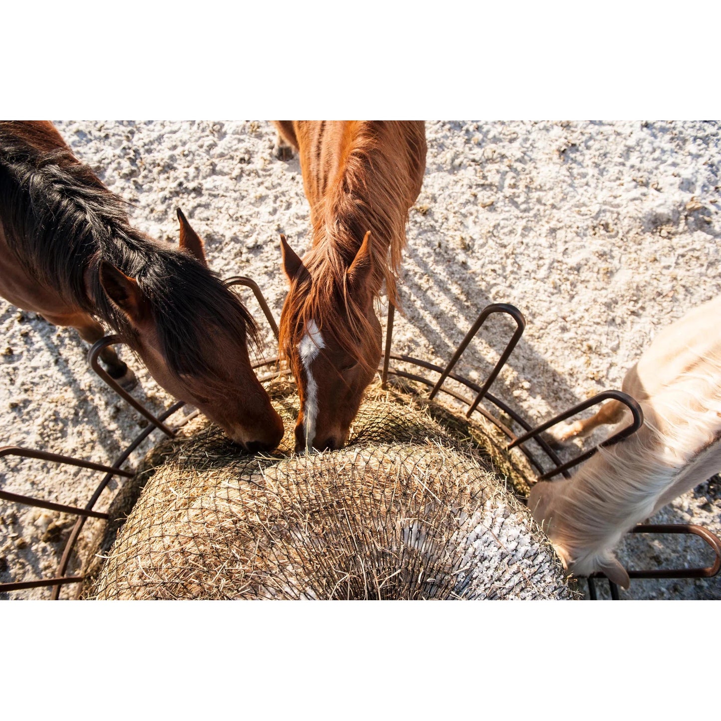 Eco Net EZ Feeder Hay Net Kit