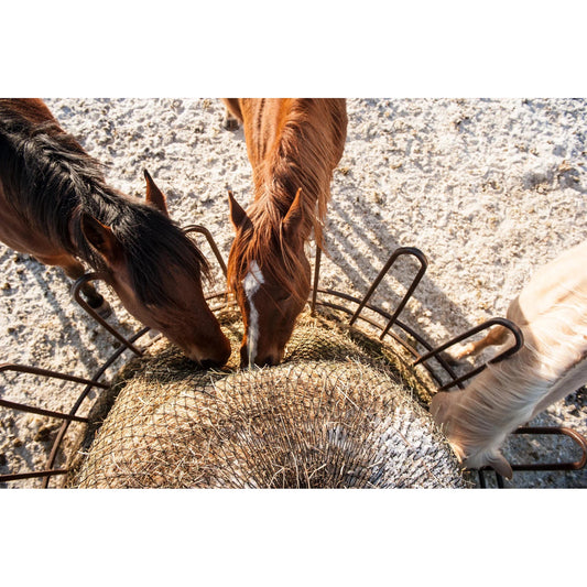 Eco Net EZ Feeder Hay Net Kit