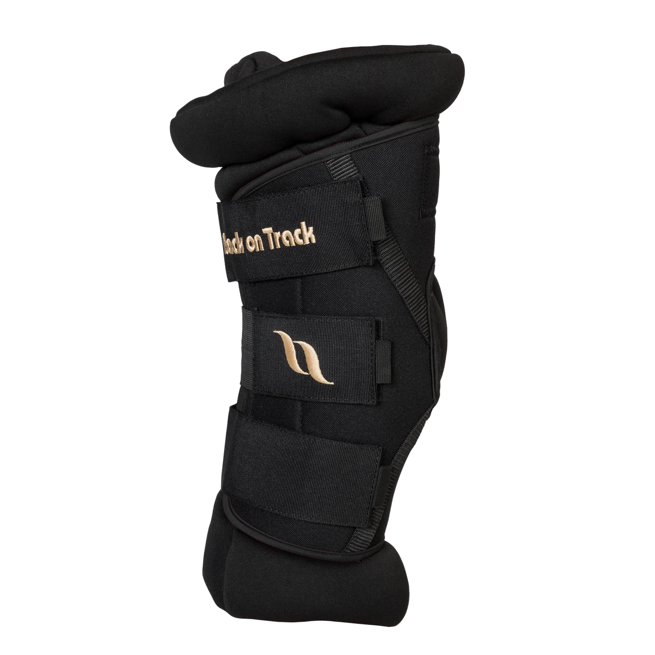 Back On Track royal Hock Boots Deluxe