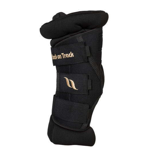 Back On Track royal Hock Boots Deluxe