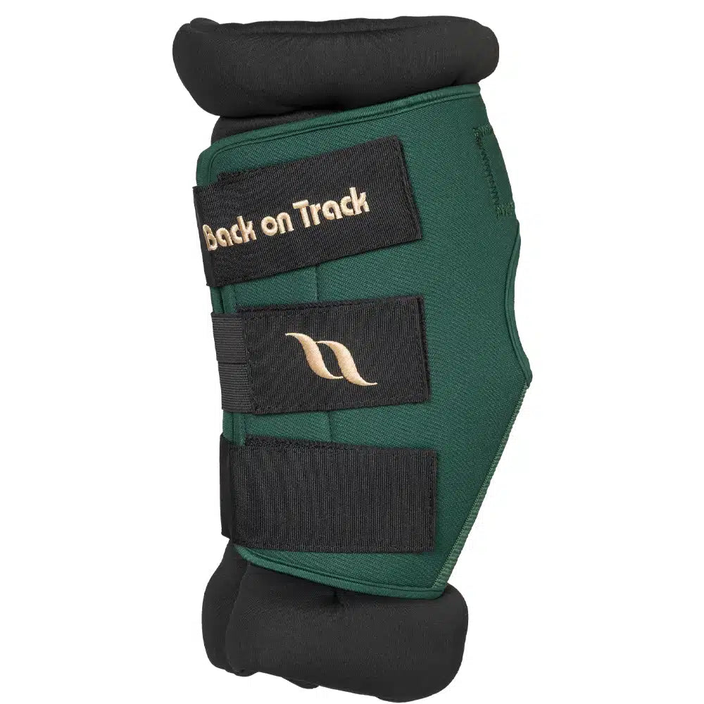 Back On Track Royal Hock Boots