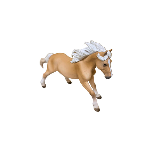 Reeves Halflinger Stallion