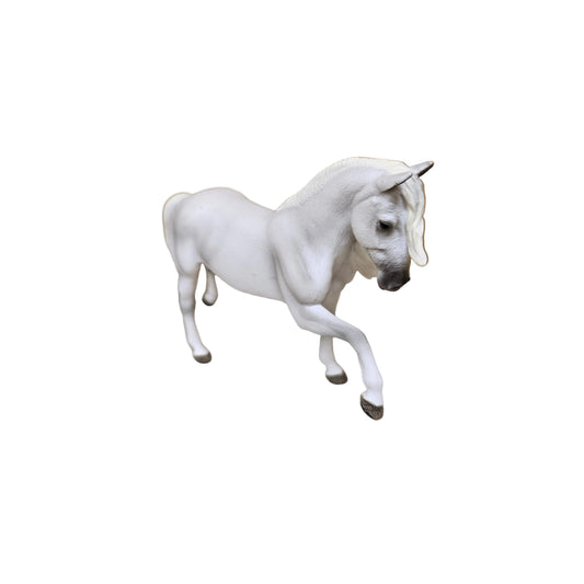 Reeves Lipizzaner Mare - Spanish Walk