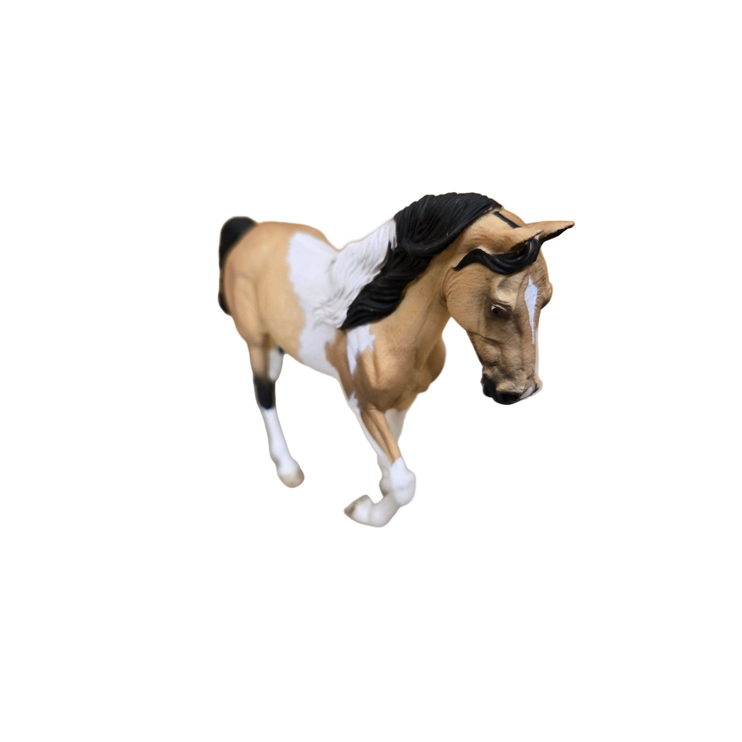 Reeves Tennessee Walking Stallion - Buckskin Tobiano