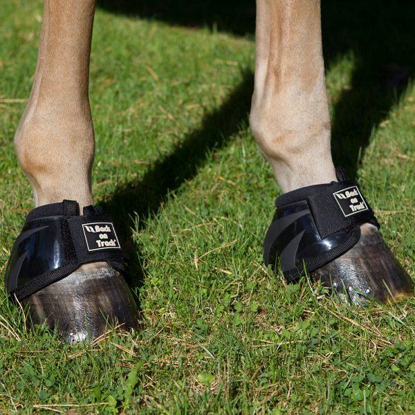Back On Track Royal Performance Bell Boots - Irvine Tack &amp; Western Wear