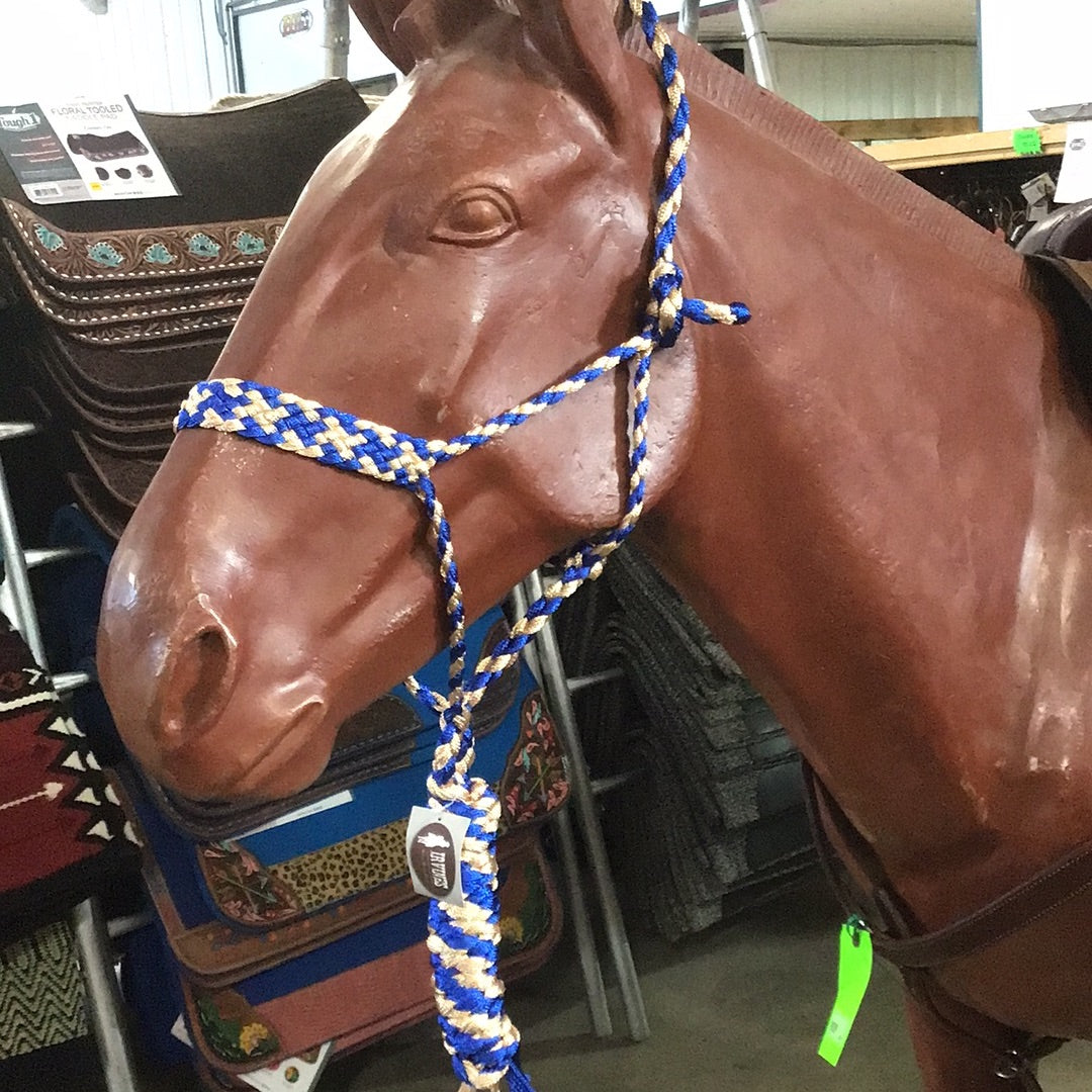 Irvine Mule Tape Halter w/8 ft Lead