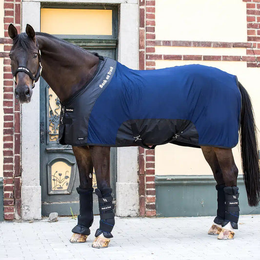 Back On Track Royal Mesh Rug Deluxe w/Neck Piece - Assorted Colours