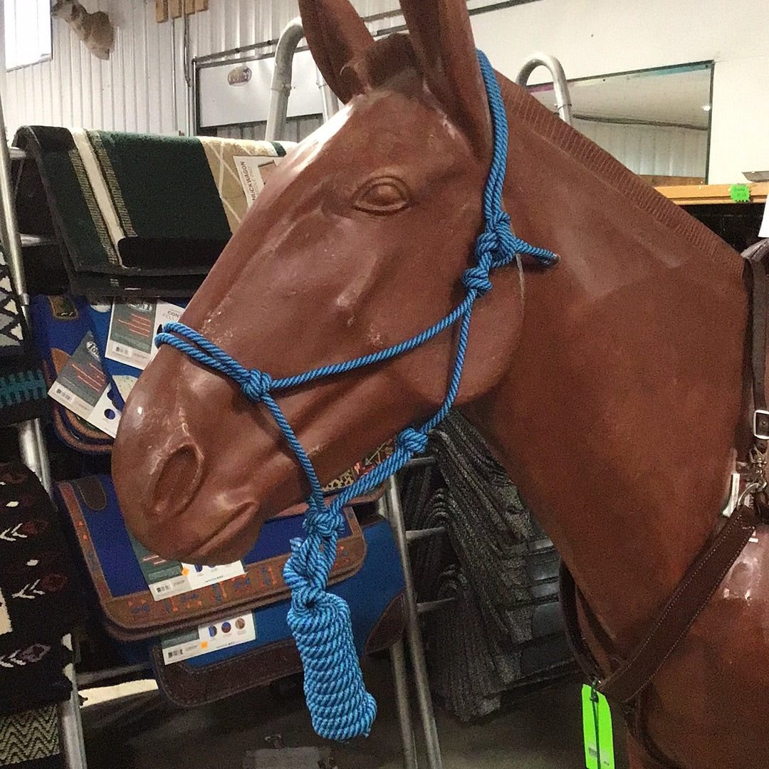 Irvine Rope Halter w/Matching Lead Rope