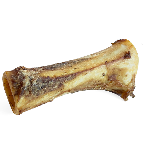 Open Range Cured bone 6" - Irvine Tack &amp; Western Wear