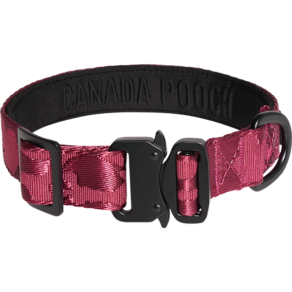 Canada Pooch Utility Collar