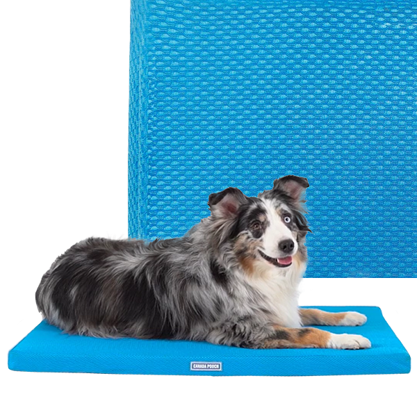 Canada Pooch Chill Our Cooling Mat-Blue O/S