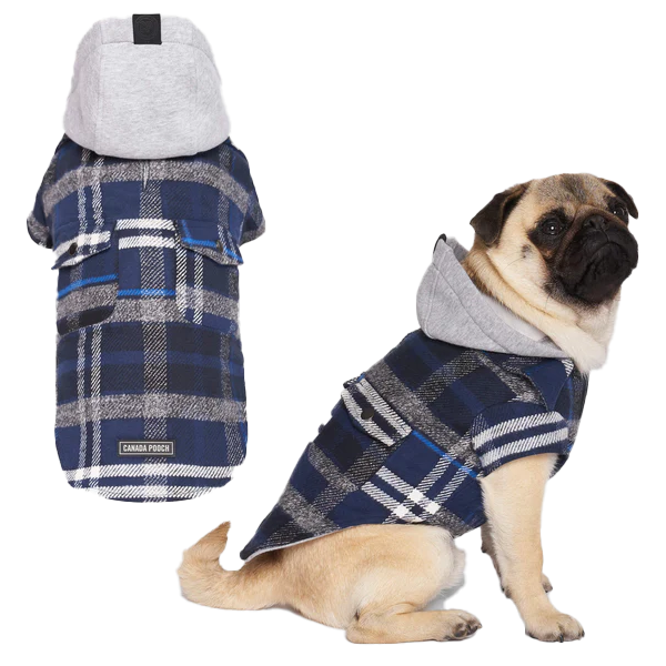 Canada Pooch The Shacket Blue  Plaid Size 10