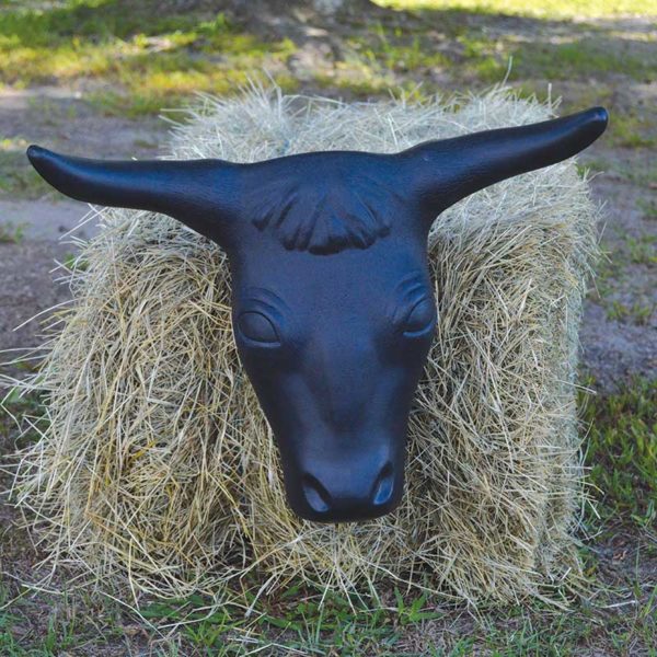 Steer Head with Hay Bale Spikes