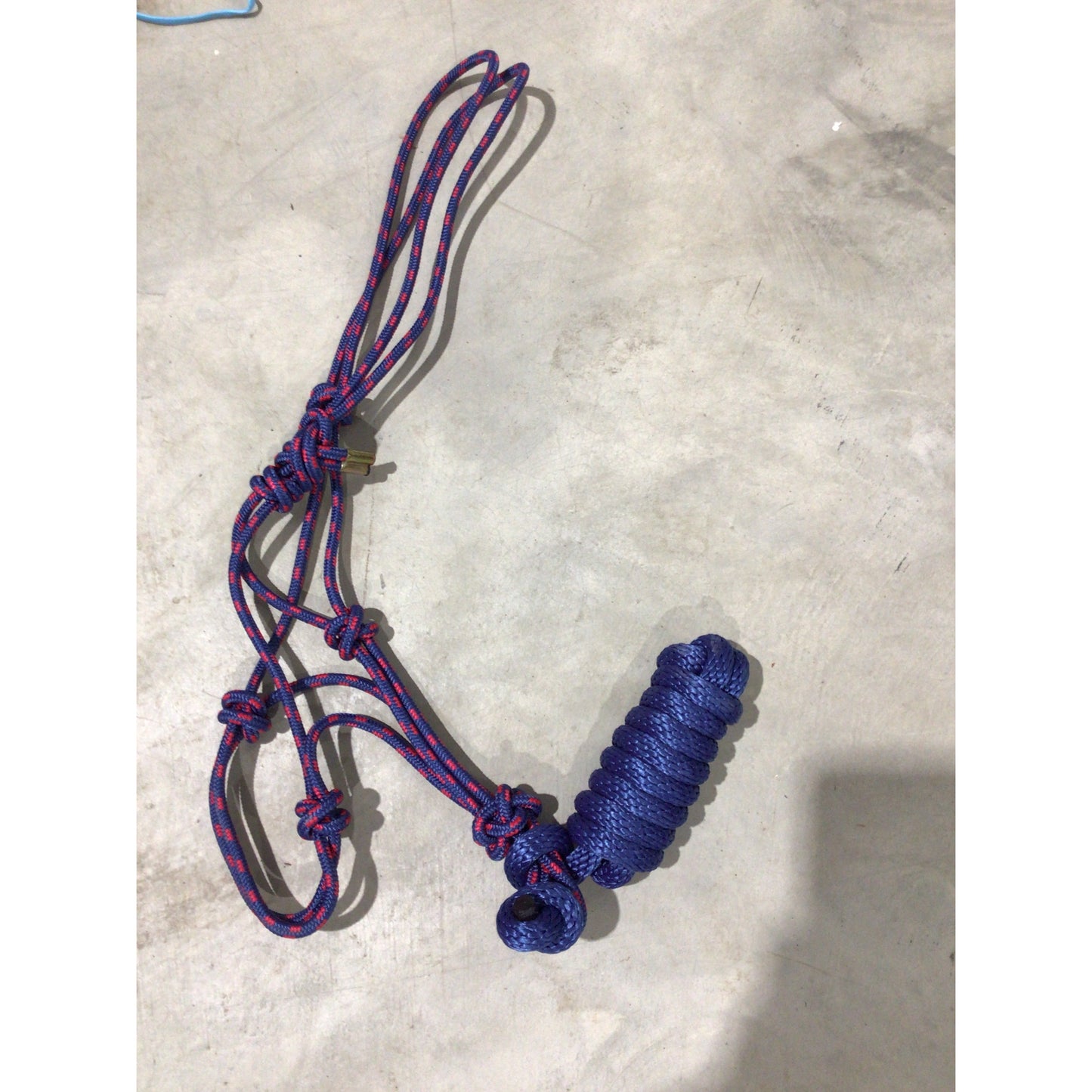Rope Halter with Lead