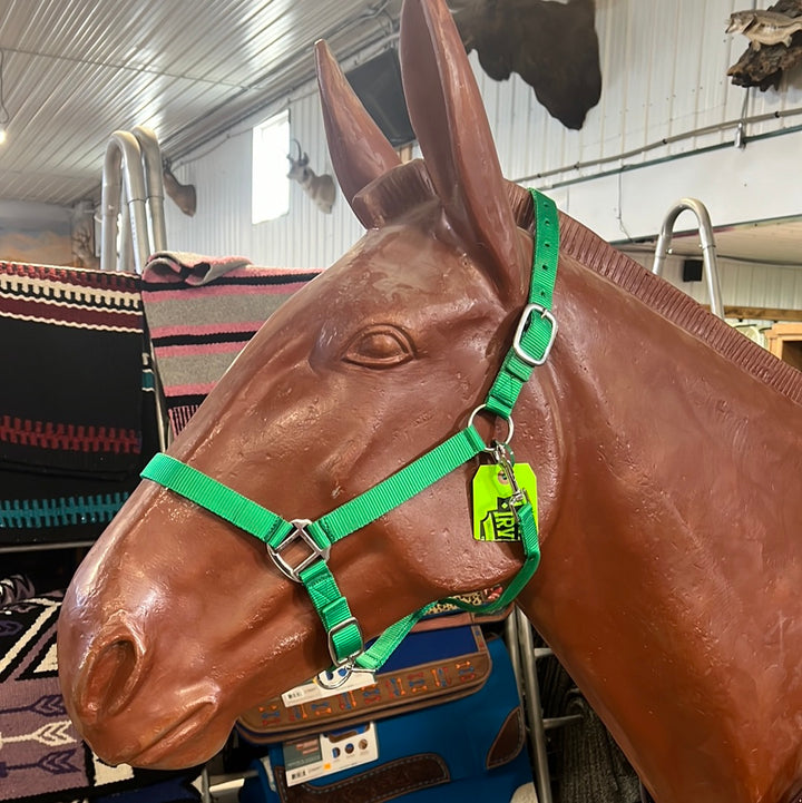 Irvine Nylon Adjustable Halter w/Snap - Irvine Tack &amp; Western Wear