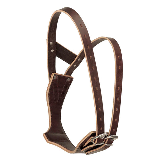 Weaver Leather Miracle Collar Boxed- Medium- Havannah