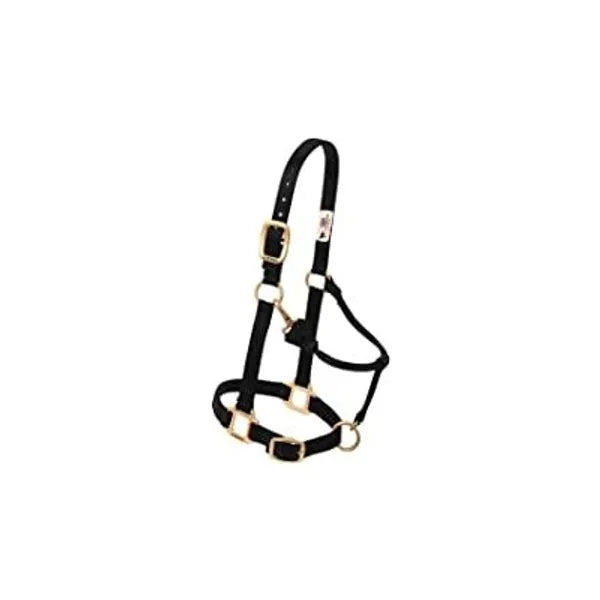 Weaver Leather Miniature Horse Halter with Chin and Throat Strap- Multiple Colours