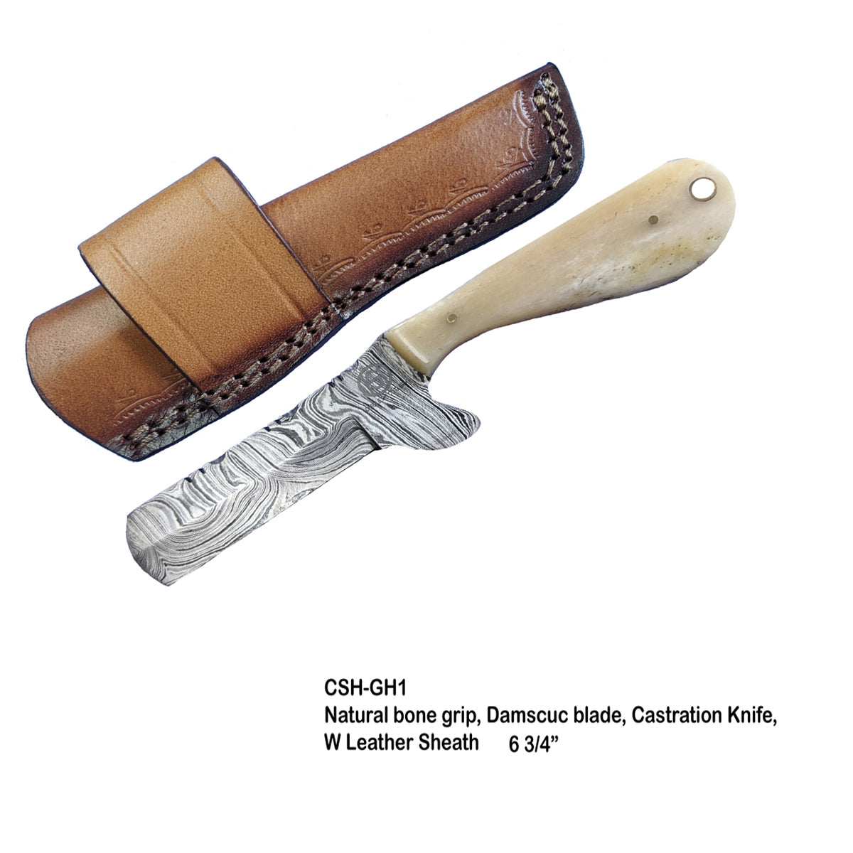 Circle SH Damascus Steel Castration Knife w/Sheath - Natural Bone