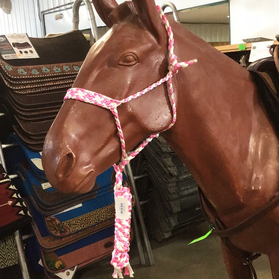 Irvine Mule Tape Halter w/8 ft Lead