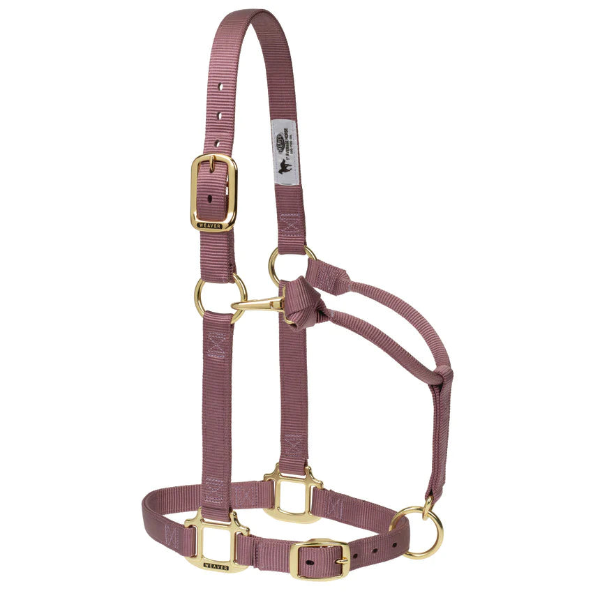 Weaver Leather Original Adjustable Nylon Horse Halter Suckling - Multiple Colours