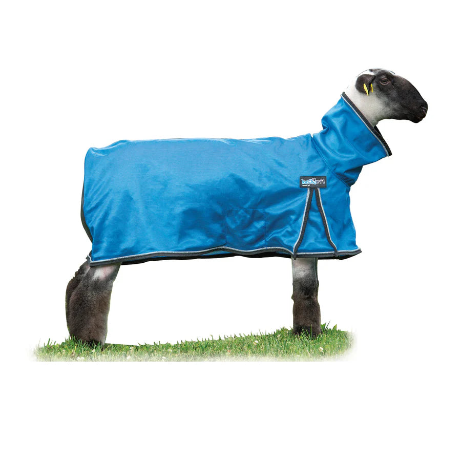 Weaver ProCool™ Mesh Sheep Blanket with Reflective Piping