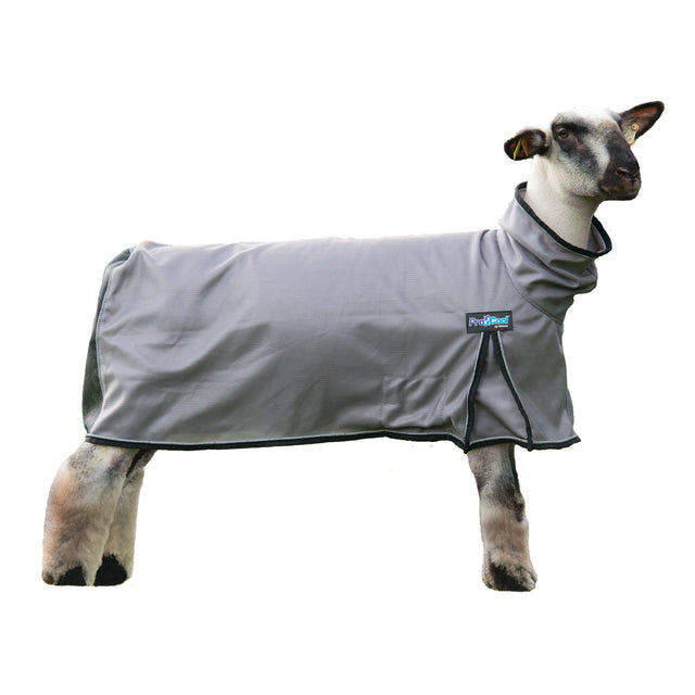 Weaver ProCool™ Mesh Sheep Blanket with Reflective Piping